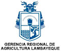 Convocatoria GERENCIA AGRICULTURA DE LAMBAYEQUE