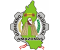 Convocatoria GOBIERNO REGIONAL DE AMAZONAS