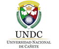  Convocatoria UNIVERSIDAD DE CAÑETE(UNDC)