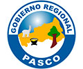 Convocatorias GOBIERNO REGIONAL PASCO