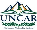 Convocatoria UNCAR - UNIVERSIDAD DE CARABAYA
